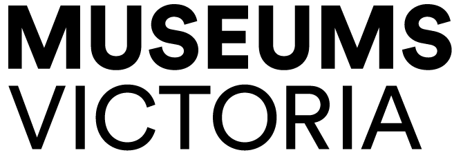 MV_Logotype